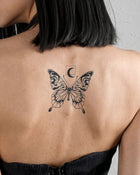 Butterfly Fluid