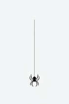 Spider Hanging