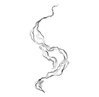 Echoes in Fluid Lines