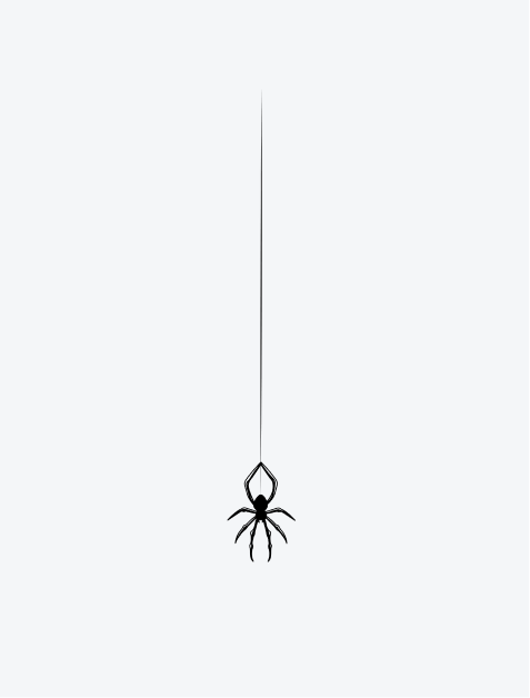 Spider Hanging