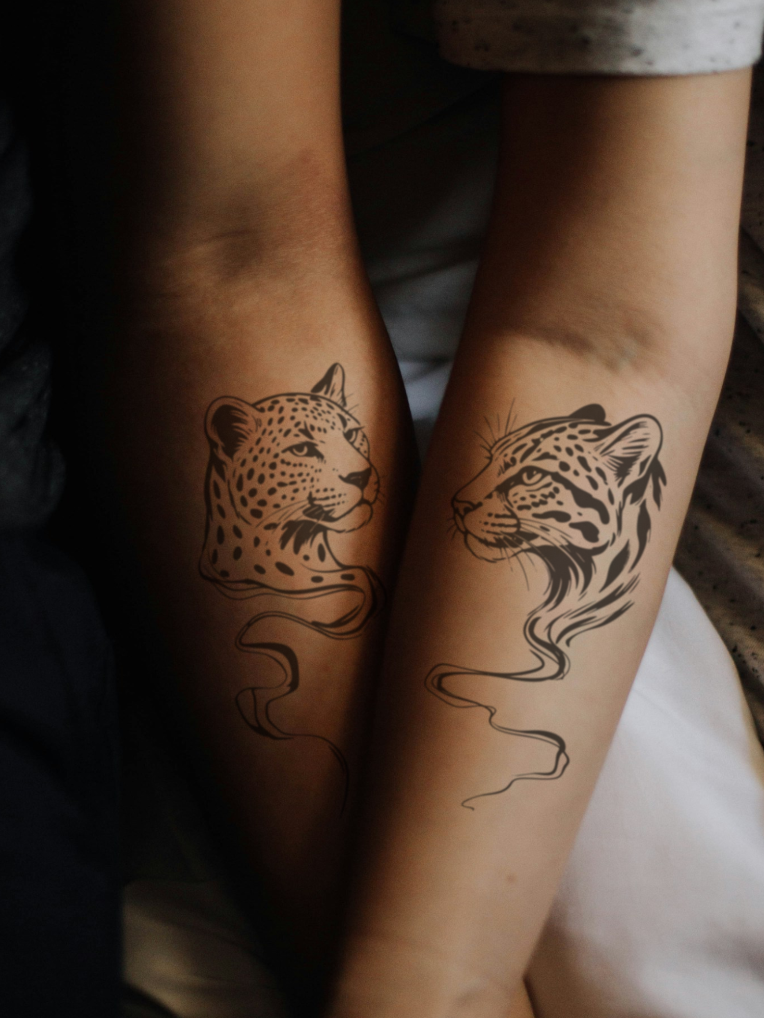 Ocelot & Leopard