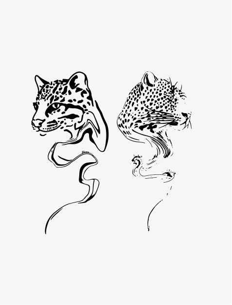 Ocelot & Leopard