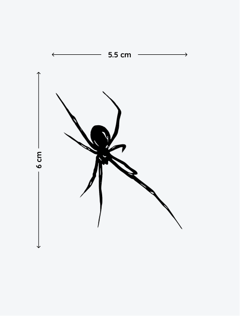 5.png