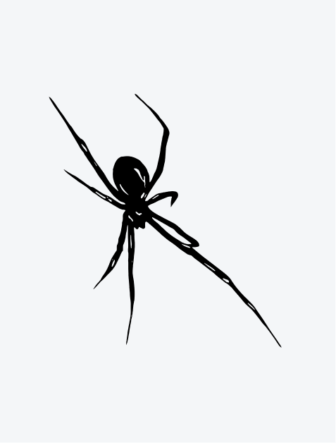 Spider Modern