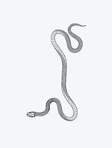 Snake - Long Curved