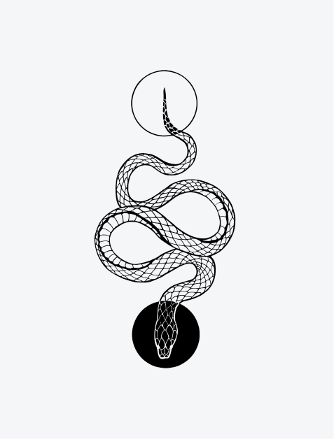 Ying Yang Snake
