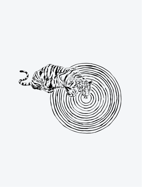 Tiger Circles