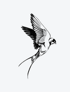 Swallow Bird Single