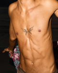 Sword Butterfly – 2-week tattoo