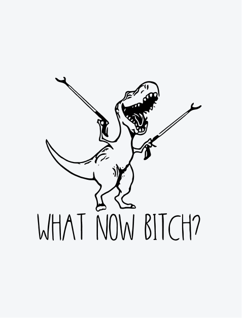What Now Bitch