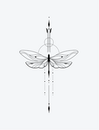 Dragon Fly Linework